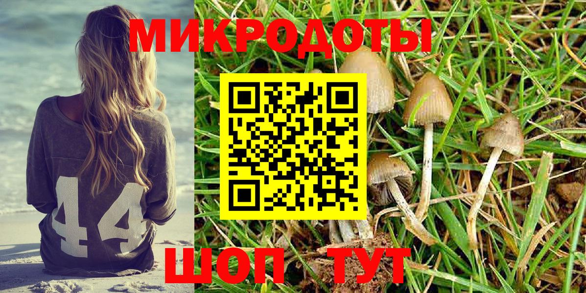 Арзамас  магазин  наркотиков  Галлюциногенные грибы Cubensis  Вход с VPN  Псилоцибиновые грибы ЛСД 